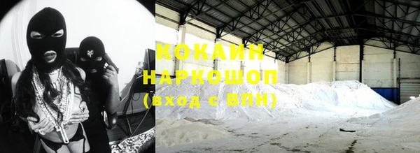 стаф Нефтегорск