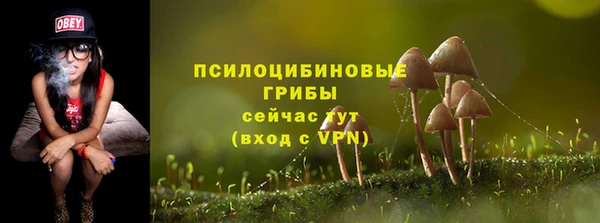 стаф Нефтегорск