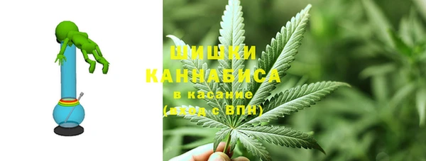стаф Нефтегорск