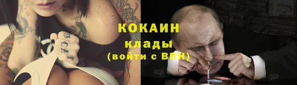 стаф Нефтегорск