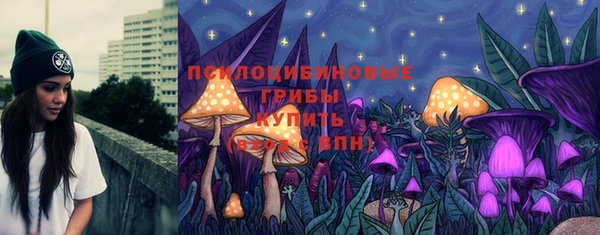 стаф Нефтегорск