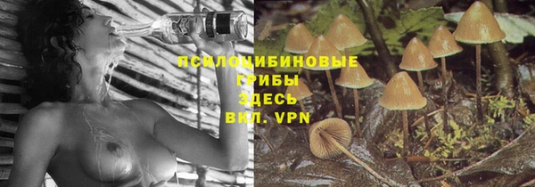 стаф Нефтегорск