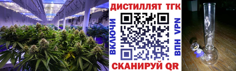 закладки  Стародуб  hydra как зайти  Дистиллят ТГК вейп 