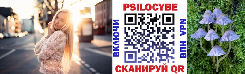 Галлюциногенные грибы Psilocybine cubensis  Стародуб 